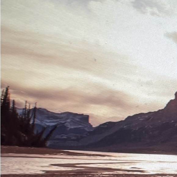 Meet your Posher, Dessi - Picture 1 of 1